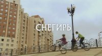 Снегирь (Фильм)