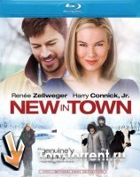 Замерзшая из Майами / New in Town (2009)