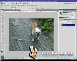 Adobe Photoshop CS4. Видеокурс