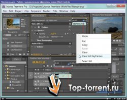 Adobe Premiere CS4 - Секректы Голливуда. Видеокурс