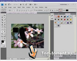 Экспресс видеокурс Adobe Photoshop CS4 (Интерактивный)