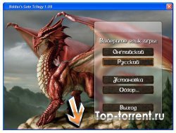 Трилогия Врата Балдура / Baldur's Gate Trilogy v1.08