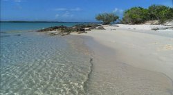 BBC. Дикие Карибы / BBC. Wild Caribbean