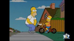 Симпсоны / The Simpsons [S20]