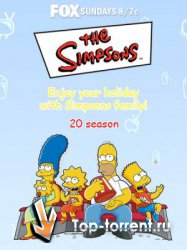 Симпсоны / The Simpsons [S20]