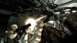 Aliens vs. Predator (2010) PC | Rip