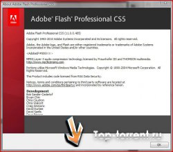 Adobe Flash Professional CS5