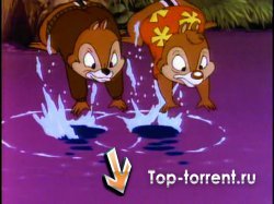 Чип и Дейл спешат на помощь / Chip and Dale Rescue Rangers [6 Дисков из 6 / 51 серия из 65]