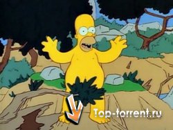Симпсоны на украинском 1-15 сезоны / The Simpsons - Season 1-15 (ukr)