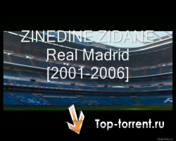 Все голы Зинедина Зидана, забитые им за Реал Мадрид