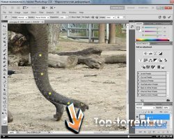 Обзорный видеокурс по Adobe CS5 / EXE от TeachVideo