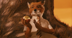 Бесподобный мистер Фокс / Fantastic Mr. Fox | Лицензия