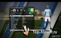 FIFA 11 | PC