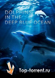 Дельфины в глубоком голубом океане / Dolphins In The Deep Blue Ocean (2009)