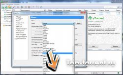 uTorrent 2.2.23774 + языковой пакет