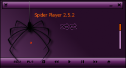 Spider Player PRO 2.5.3 + Skins (2010)