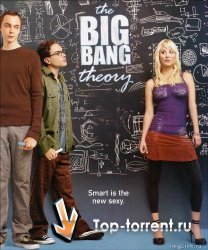 Теория Большого Взрыва / The Big Bang Theory [04x12] (2010)