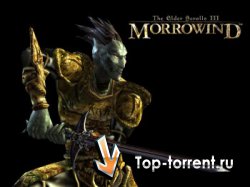 Глобальный мод Morrowind 2011 (T.E.S III Morrowind)