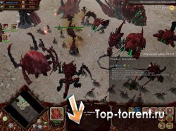 Warhammer 40k Dawn of War: Рассвет войны - Зов улья (RUS) [P]