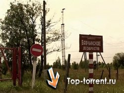 Чернобыльские джунгли. 20 лет без человека [01-07] (2005)
