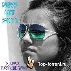 VA - New Hit 2011