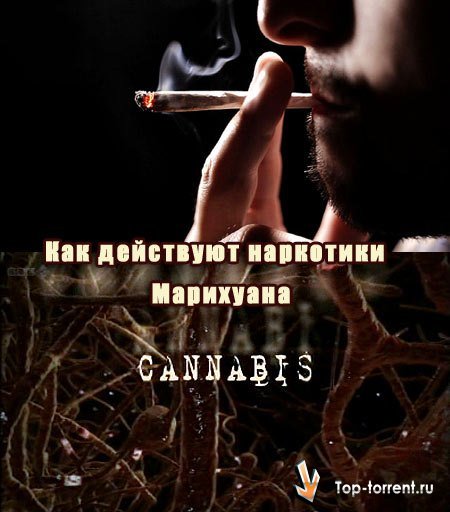 как действуют наркотики марихуана 2011