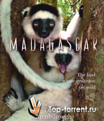 Мадагаскар / Madagascar [01х01] (2011) 1080i