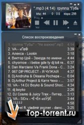 Winamp Gold 2011 v5.61.3133 