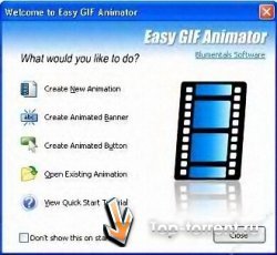 Easy GIF Animator Pro 