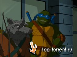 Черепашки Мутанты Ниндзя: Новые Приключения / TMNT- Teenage Mutant Ninja Turtles (3 сезон: 26 серий из 26)