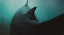 Челюсти 3D / Shark Night 3D | Трейлер