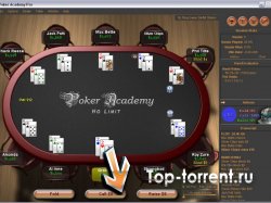 Академия Покера / Poker Academy: Texas Hold’em