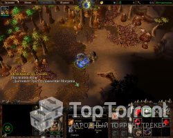 Военное Ремесло 3: Ледяной Трон - Зов природы / Warcraft 3: Frozen Throne - Call of Elements