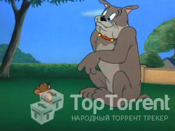 Том и Джерри. Полная коллекция (1940-1967)