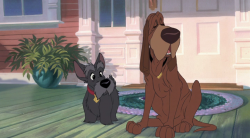 Леди и бродяга 2: Приключения Шалуна / Lady and the Tramp II: Scamp's Adventure 