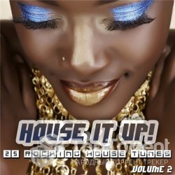 VA - House It Up Vol.2