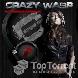 Мега-Танцевальный сборник 2012 - Crazy Wasp!!!