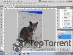 Специалист - Adobe Photoshop CS5. Уровень 2. Расширенные возможности. Обучающий видеокурс