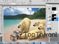 Специалист - Adobe Photoshop CS5. Уровень 2. Графический дизайн