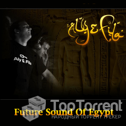 Aly and Fila - Future Sound Of Egypt 236 (14.05.2012)