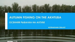 Осенняя рыбалка на Ахтубе (2012)