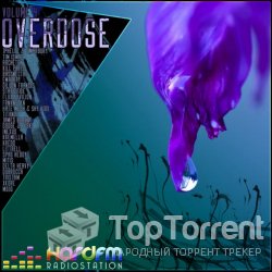 VA - Dubstep Overdose 4 (2012)