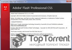 Flash CS5 Portable