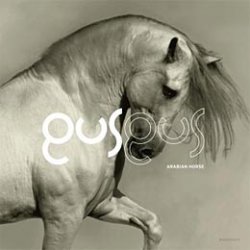 GusGus – Arabian Horse (2011)