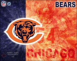 NFL 2012-2013 Chicago Bears - New York Giants