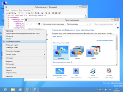 Windows 8 Professional (2012)