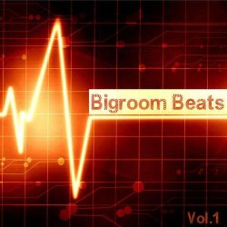 VA - Bigroom Beats Vol.1 (2012) 