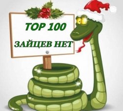 VA - Топ 100 Зайцев.нет (09.01.2013)