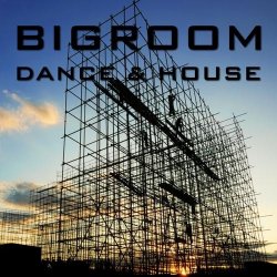 VA - Bigroom Dance & House (2012)