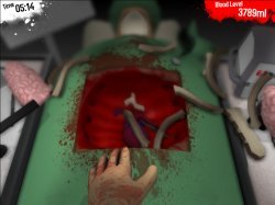 Surgeon simulator 2013